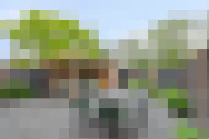 Ridder van Dorpstraat 16 F Nieuw-Beijerland thumbnail 22