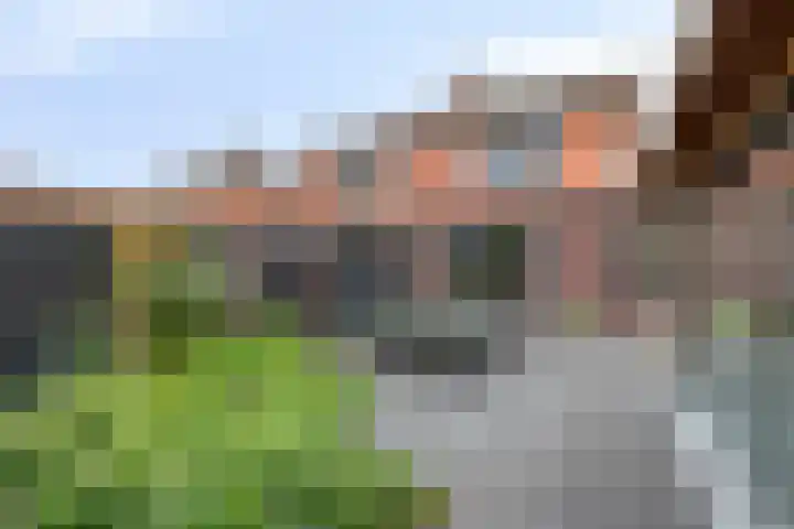 Ridder van Dorpstraat 16 F Nieuw-Beijerland thumbnail 24