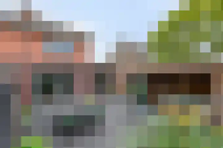 Ridder van Dorpstraat 16 F Nieuw-Beijerland thumbnail 25