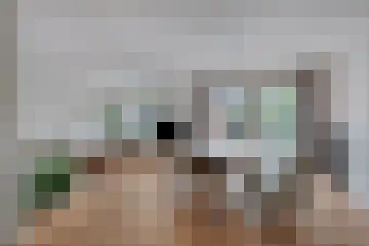 Ridder van Dorpstraat 16 F Nieuw-Beijerland thumbnail 6