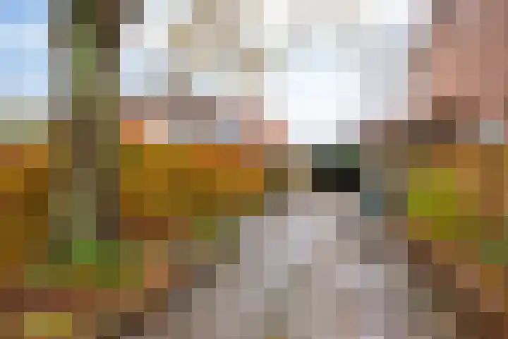 Ridder van Dorpstraat 16 Nieuw-Beijerland thumbnail 32