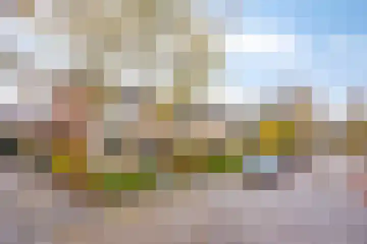Ridder van Dorpstraat 16 Nieuw-Beijerland thumbnail 4