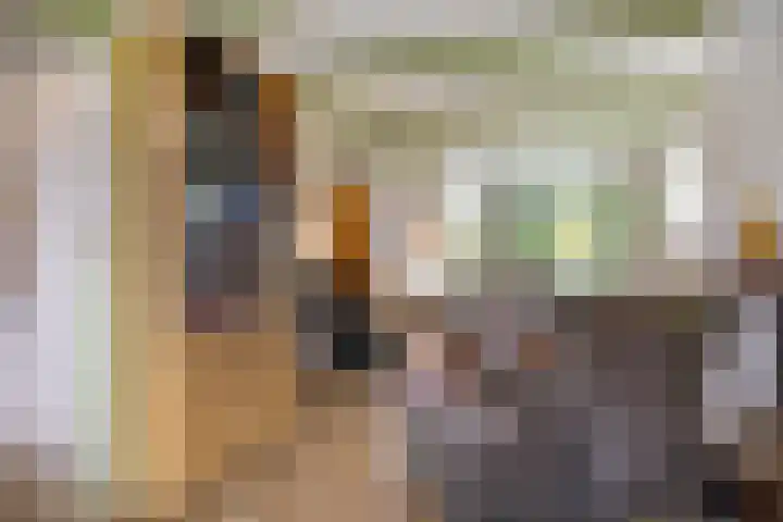 Ridder van Dorpstraat 16 Nieuw-Beijerland thumbnail 7