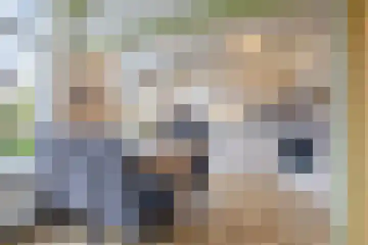 Ridder van Dorpstraat 16 Nieuw-Beijerland thumbnail 8