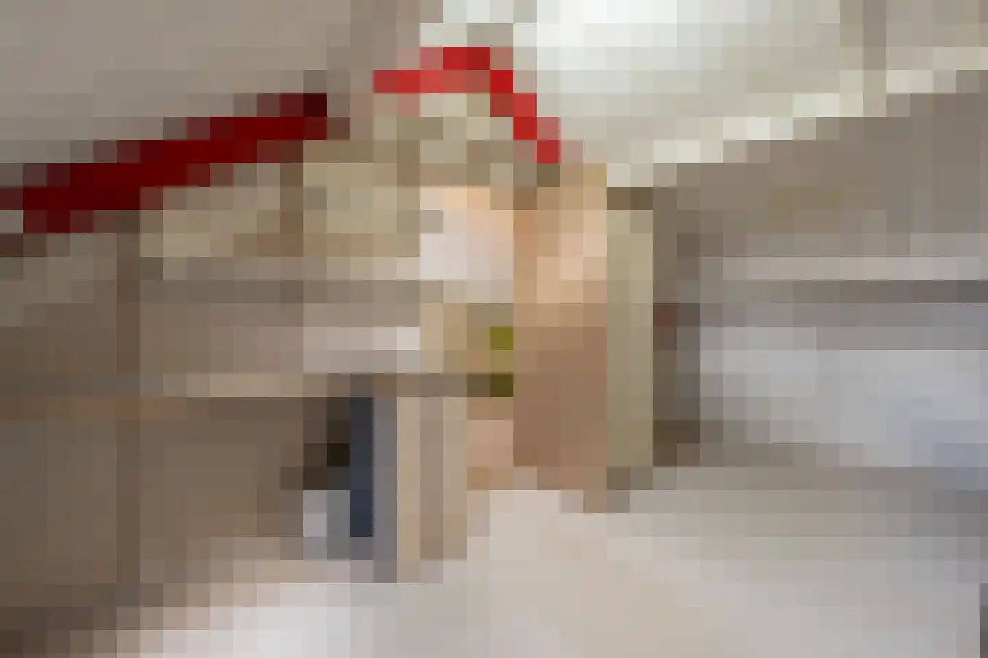 Ridder van Dorpstraat 18 Nieuw-Beijerland thumbnail 26