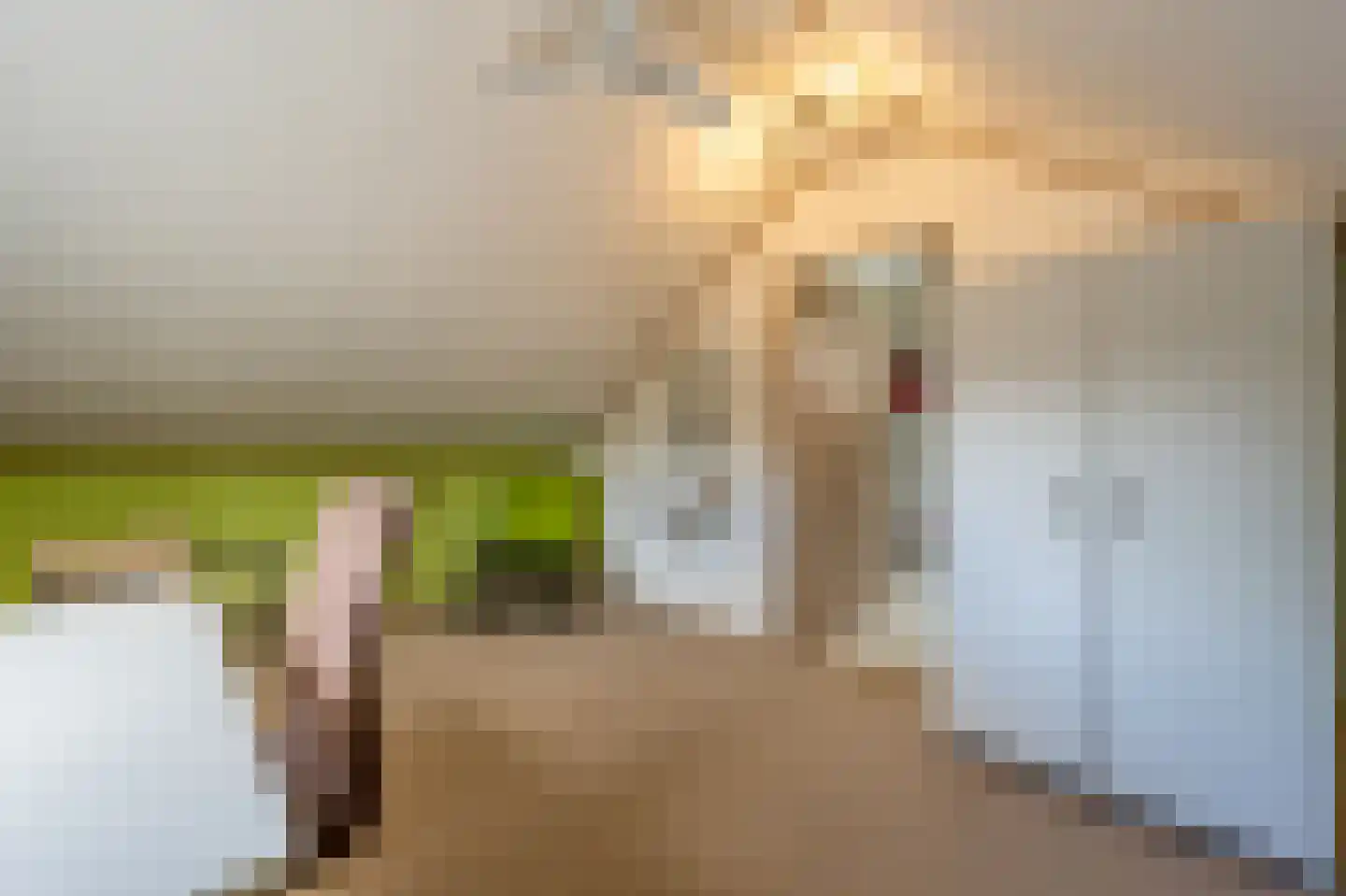 Ridder van Dorpstraat 18 Nieuw-Beijerland thumbnail 28