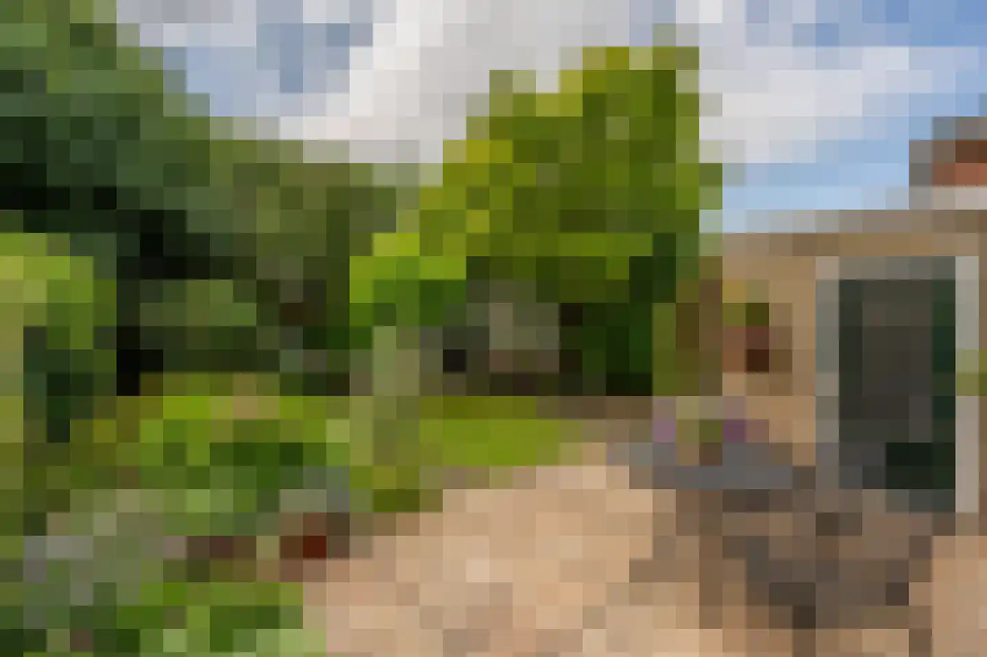 Ridder van Dorpstraat 18 Nieuw-Beijerland thumbnail 30