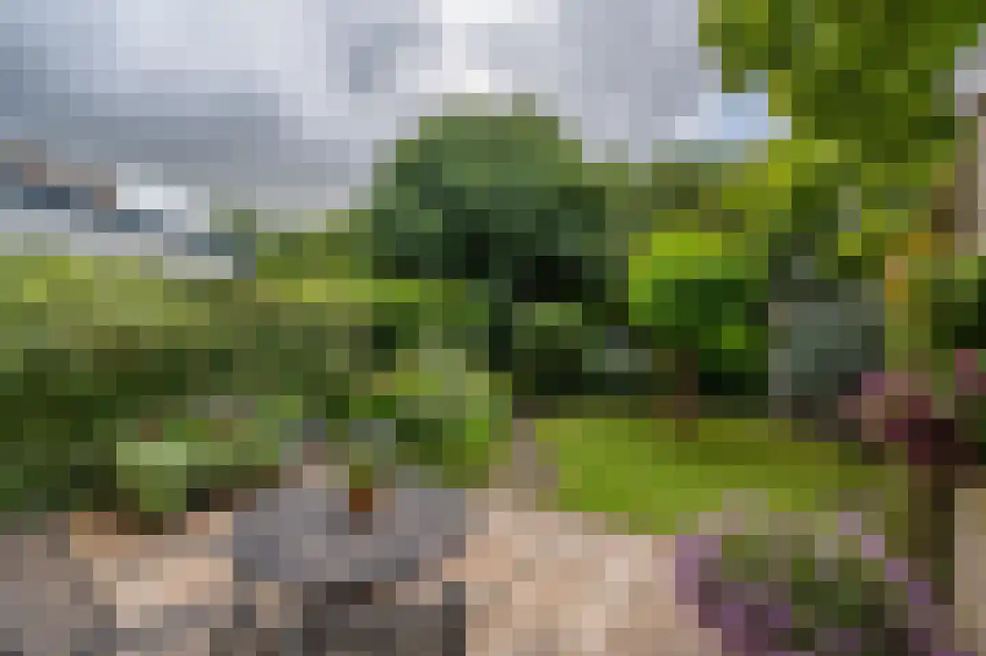 Ridder van Dorpstraat 18 Nieuw-Beijerland thumbnail 32