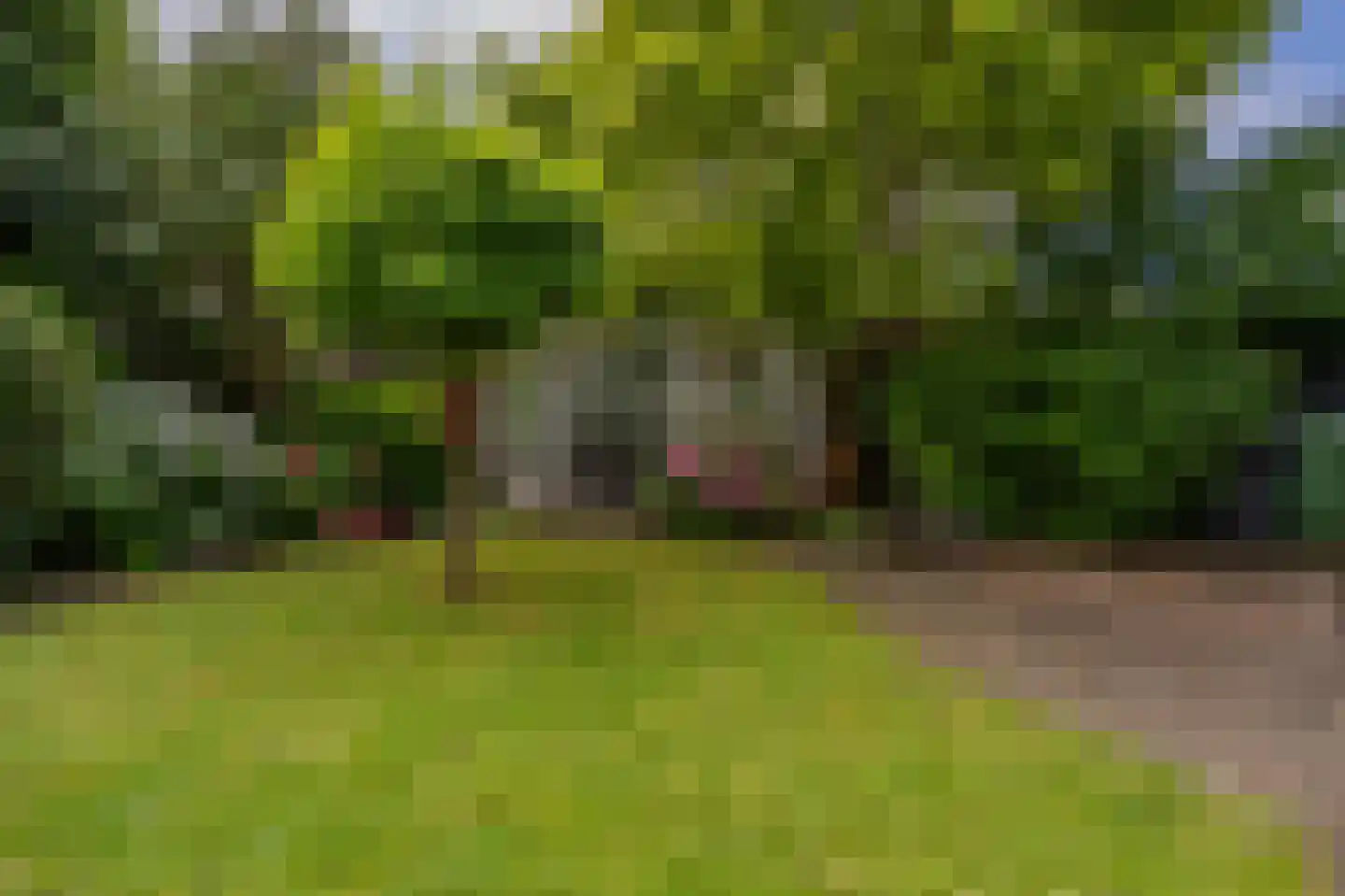 Ridder van Dorpstraat 18 Nieuw-Beijerland thumbnail 33