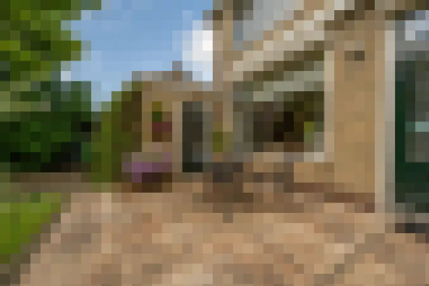 Ridder van Dorpstraat 18 Nieuw-Beijerland thumbnail 35