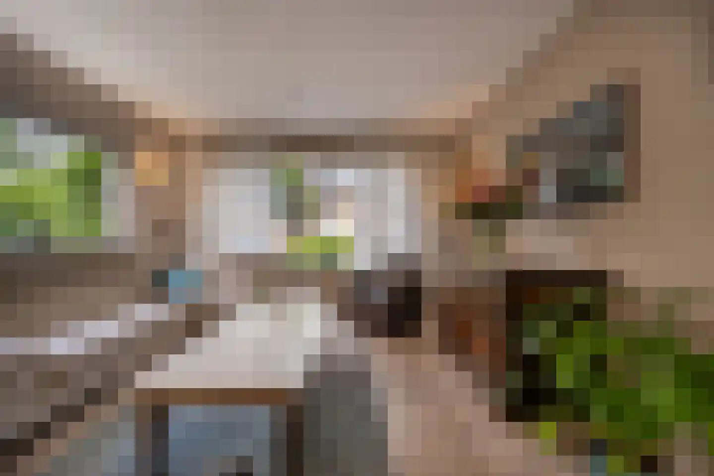 Ridder van Dorpstraat 18 Nieuw-Beijerland thumbnail 4