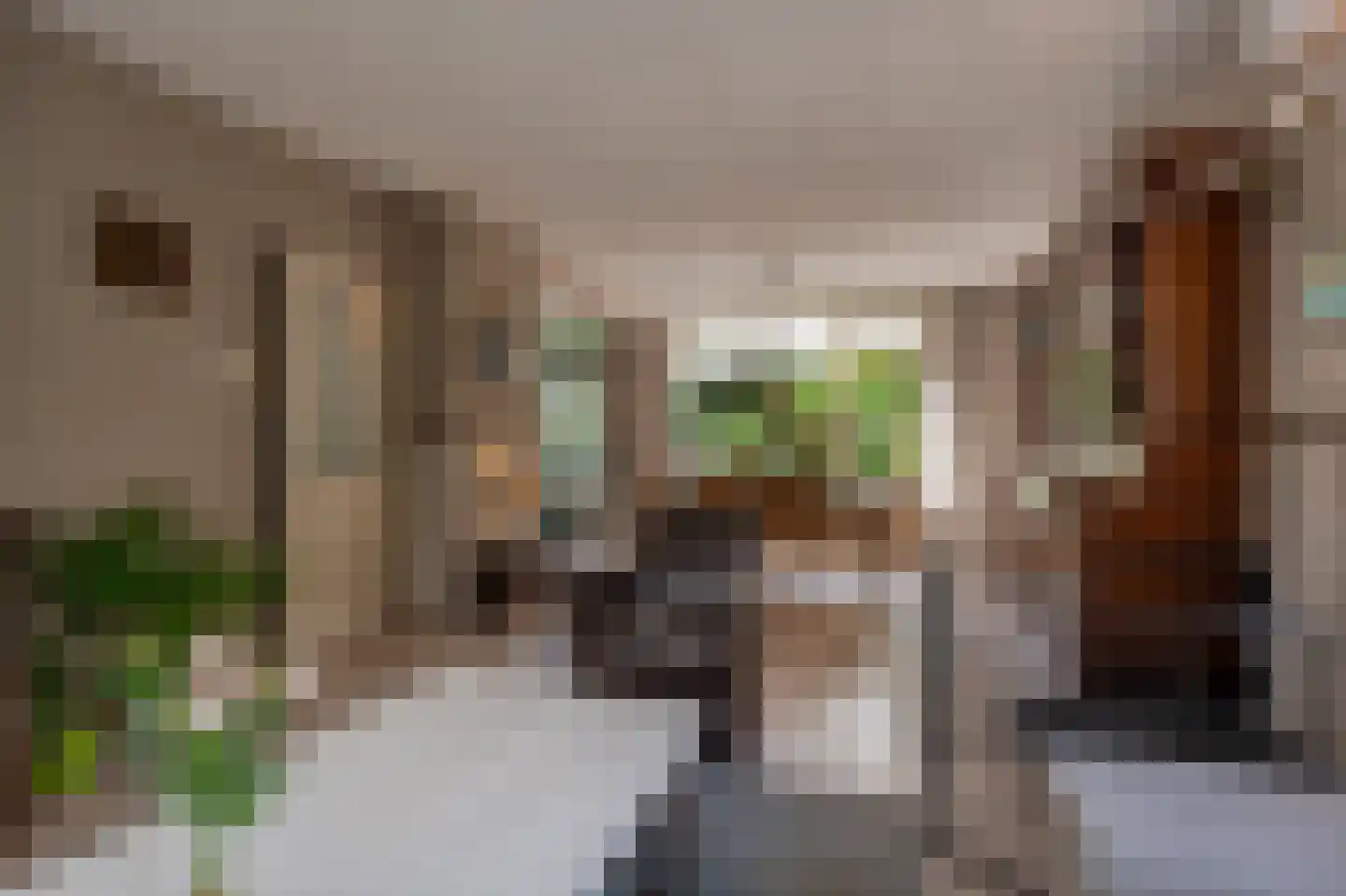 Ridder van Dorpstraat 18 Nieuw-Beijerland thumbnail 6