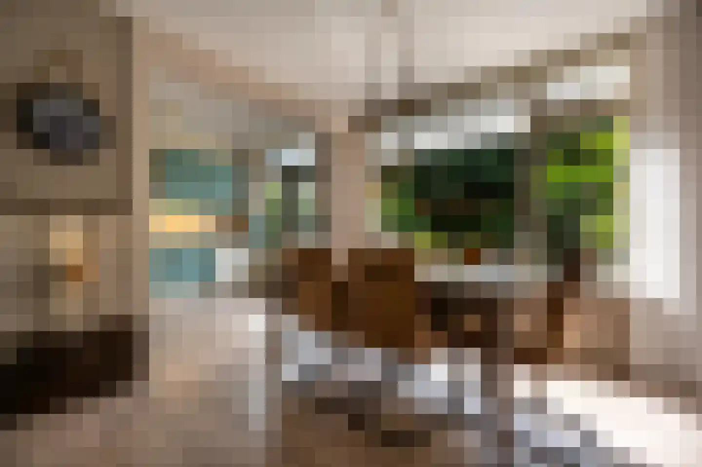 Ridder van Dorpstraat 18 Nieuw-Beijerland thumbnail 7