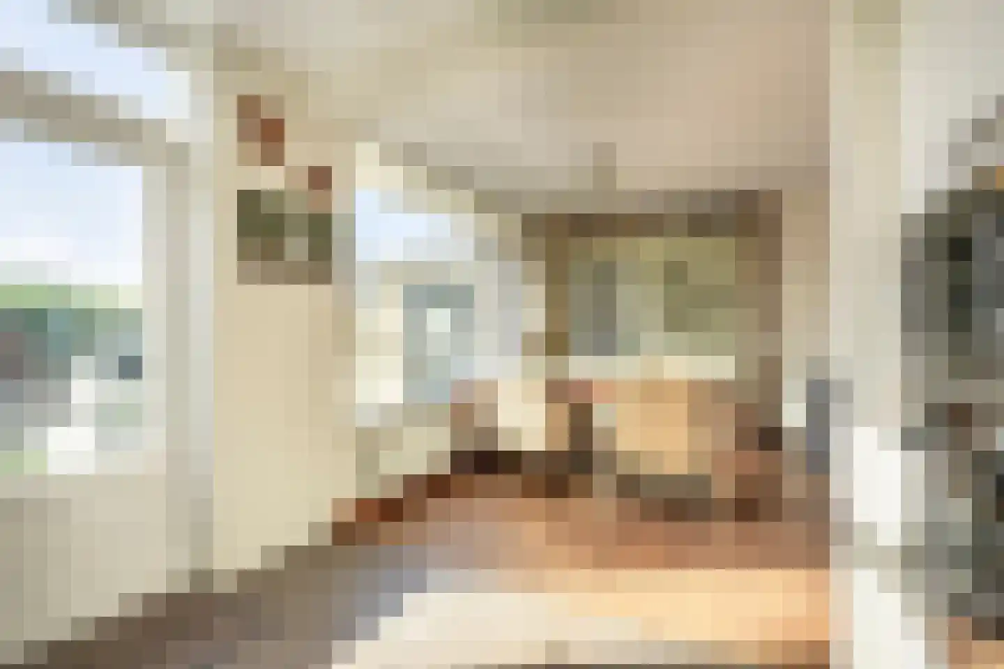 Ridder van Dorpstraat 26 Nieuw-Beijerland thumbnail 13
