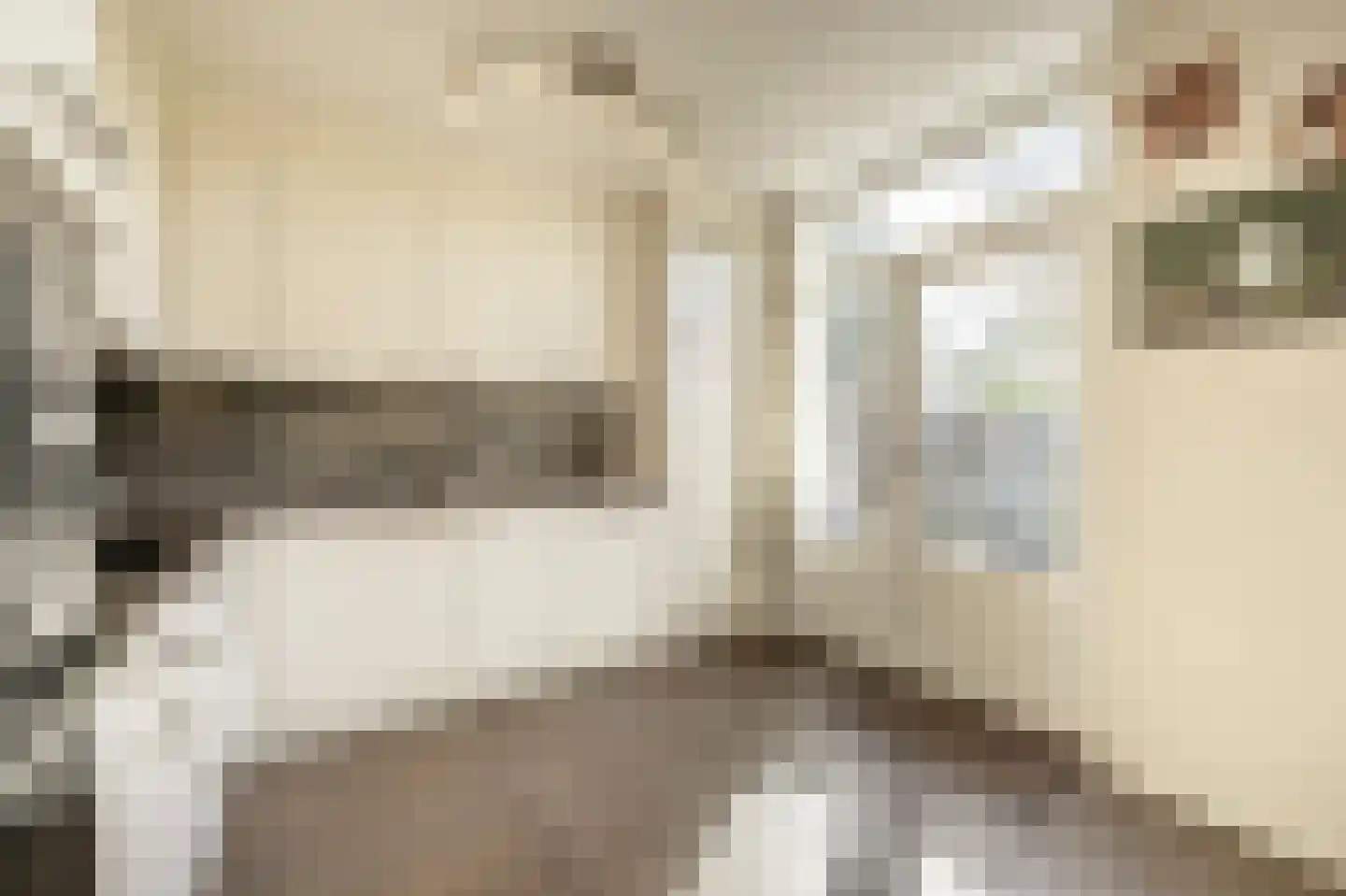 Ridder van Dorpstraat 26 Nieuw-Beijerland thumbnail 16