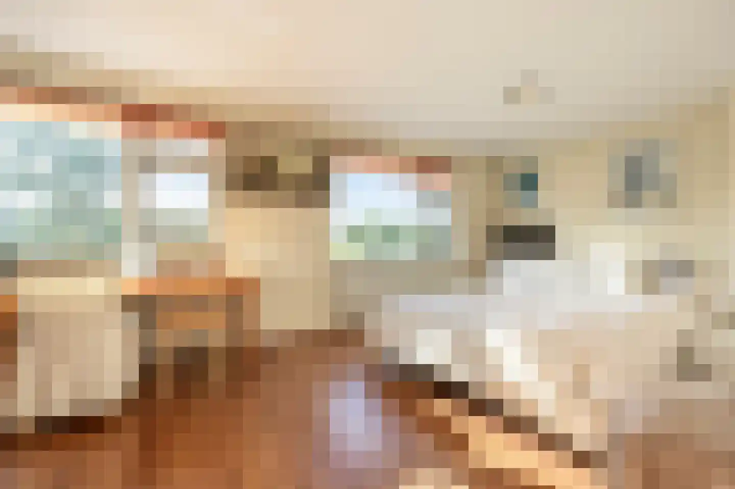 Ridder van Dorpstraat 26 Nieuw-Beijerland thumbnail 18