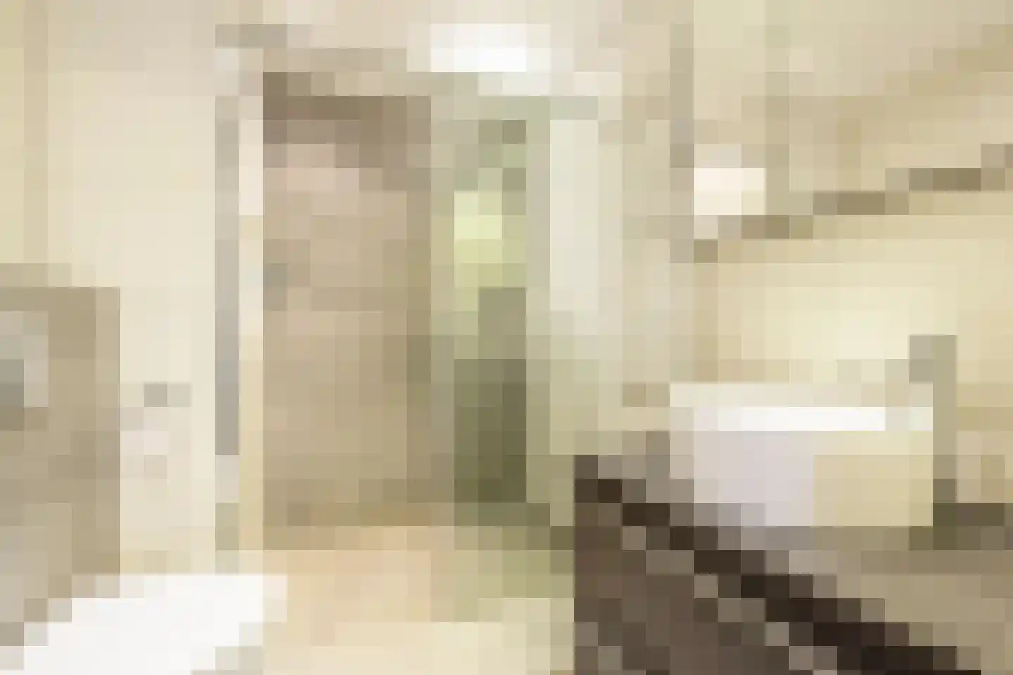 Ridder van Dorpstraat 26 Nieuw-Beijerland thumbnail 22
