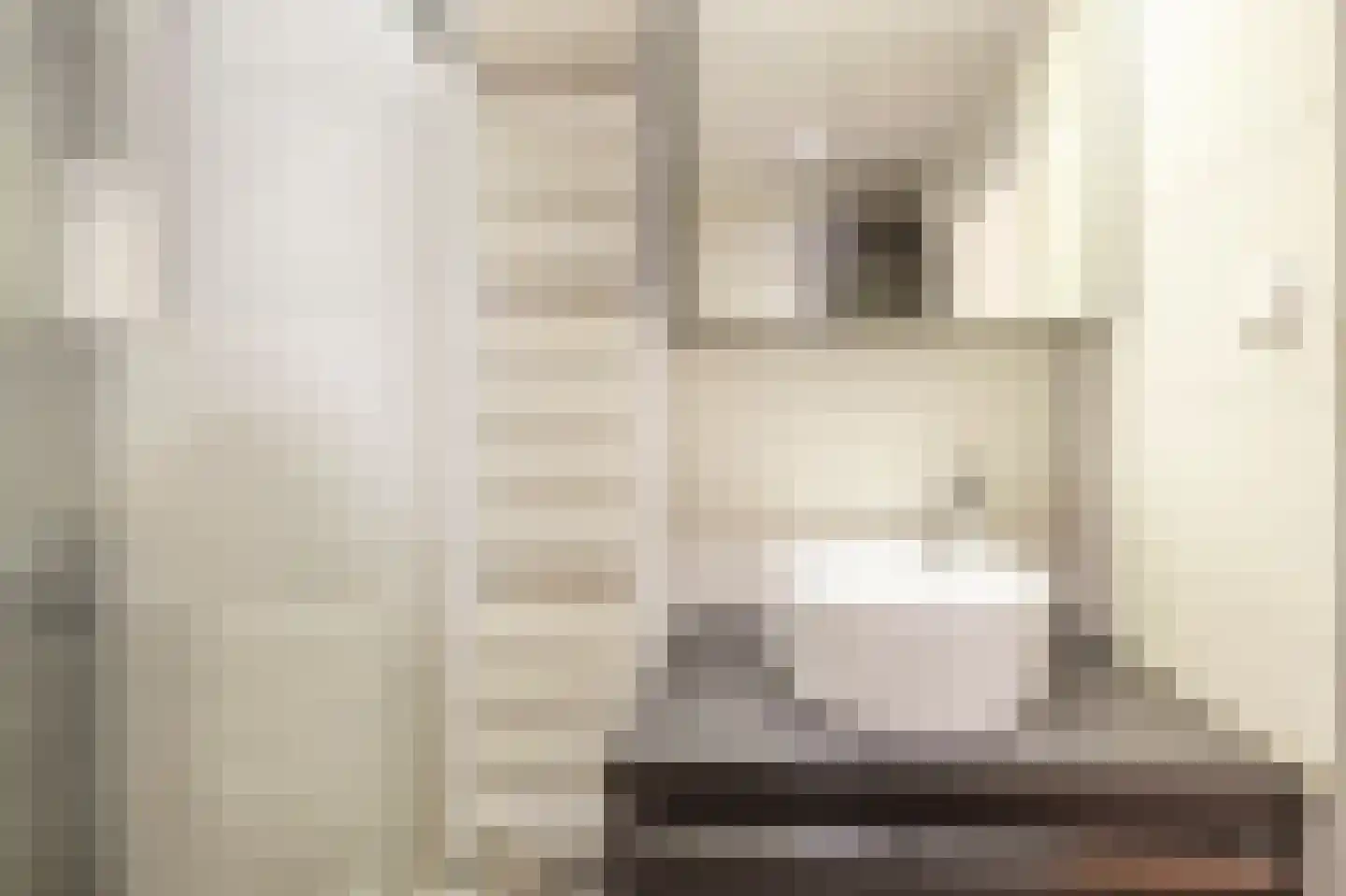 Ridder van Dorpstraat 26 Nieuw-Beijerland thumbnail 23