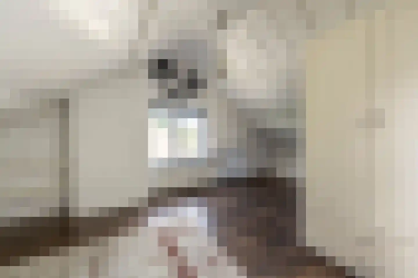 Ridder van Dorpstraat 26 Nieuw-Beijerland thumbnail 28