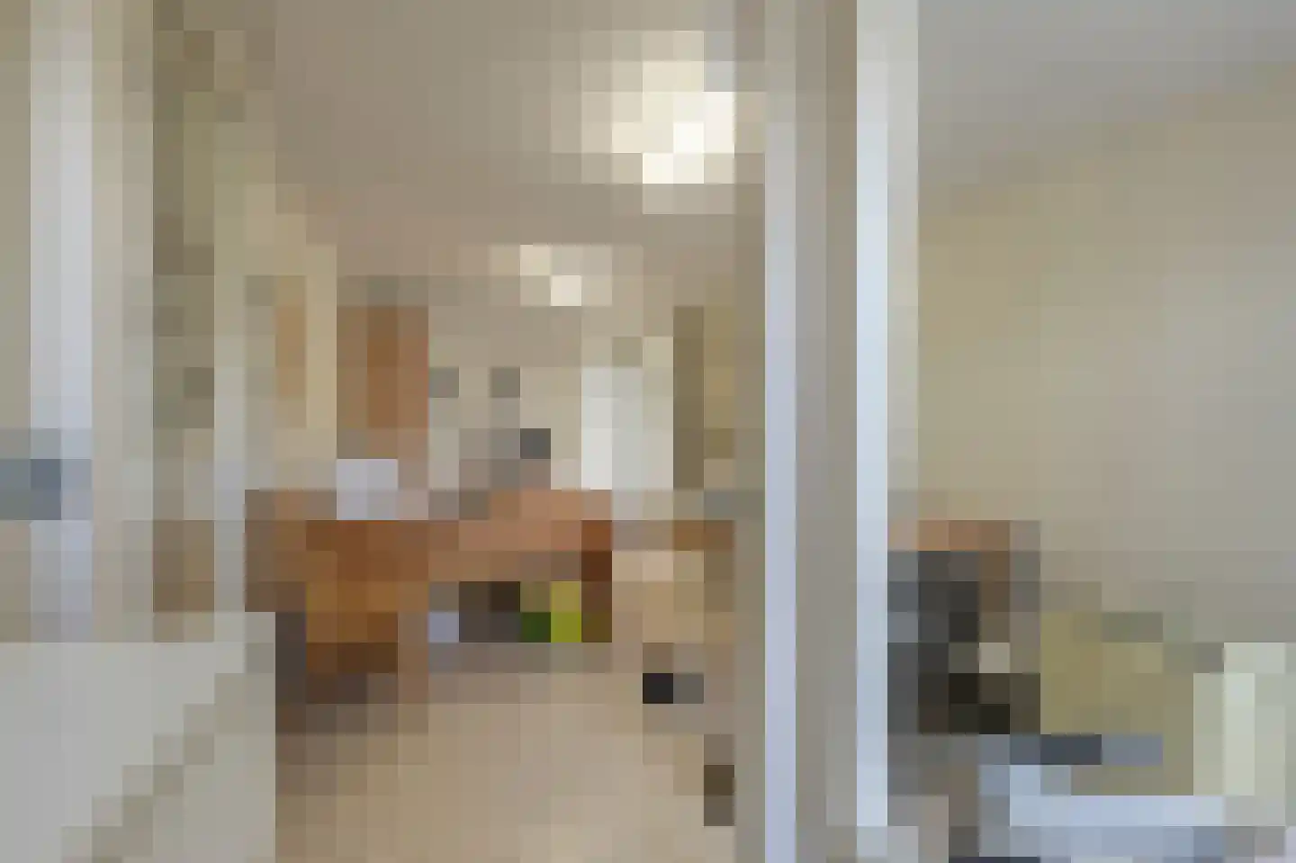 Ridder van Dorpstraat 26 Nieuw-Beijerland thumbnail 34