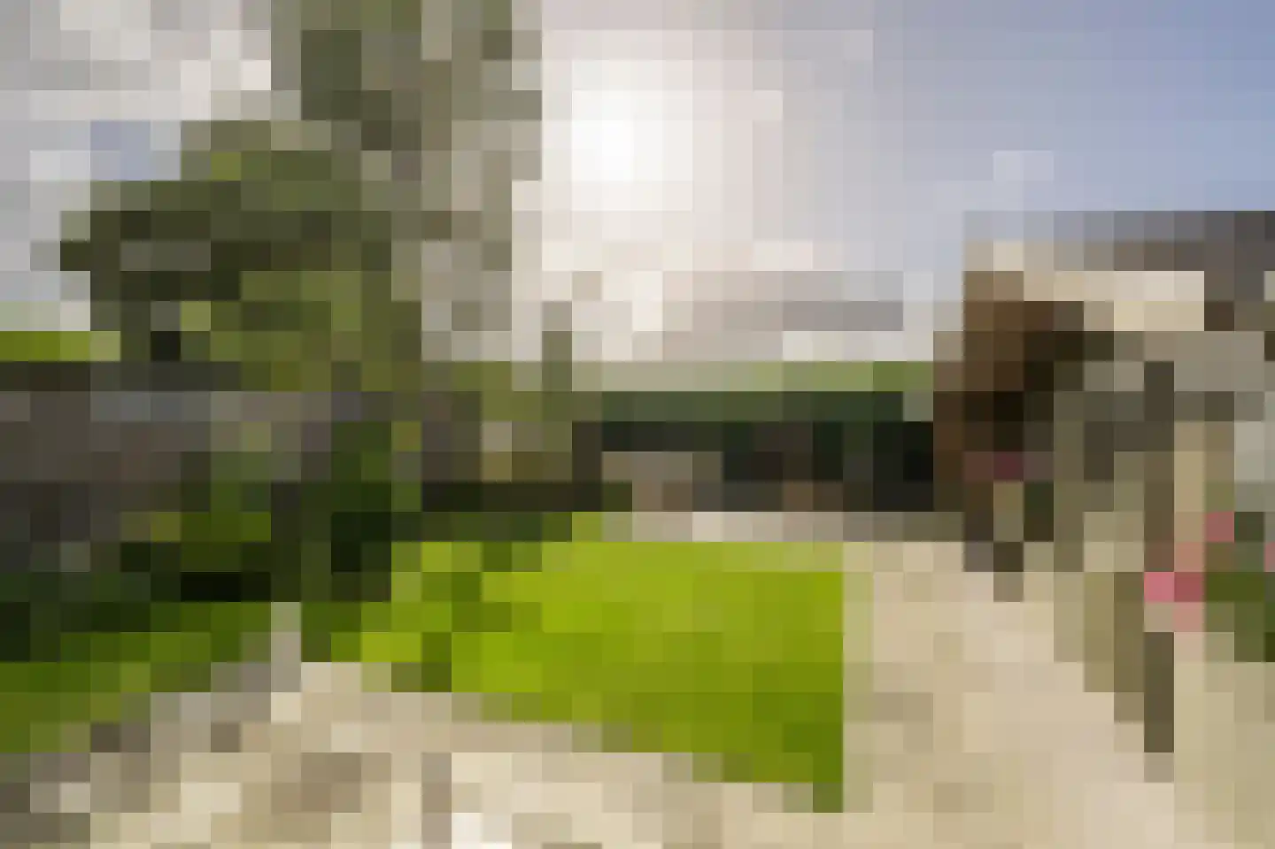 Ridder van Dorpstraat 26 Nieuw-Beijerland thumbnail 40