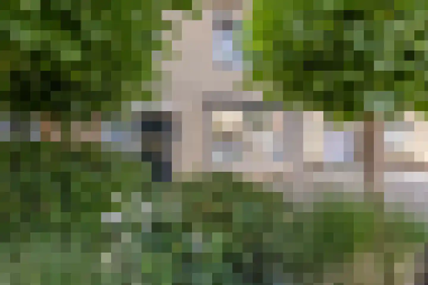Ridder van Dorpstraat 26 Nieuw-Beijerland thumbnail 5