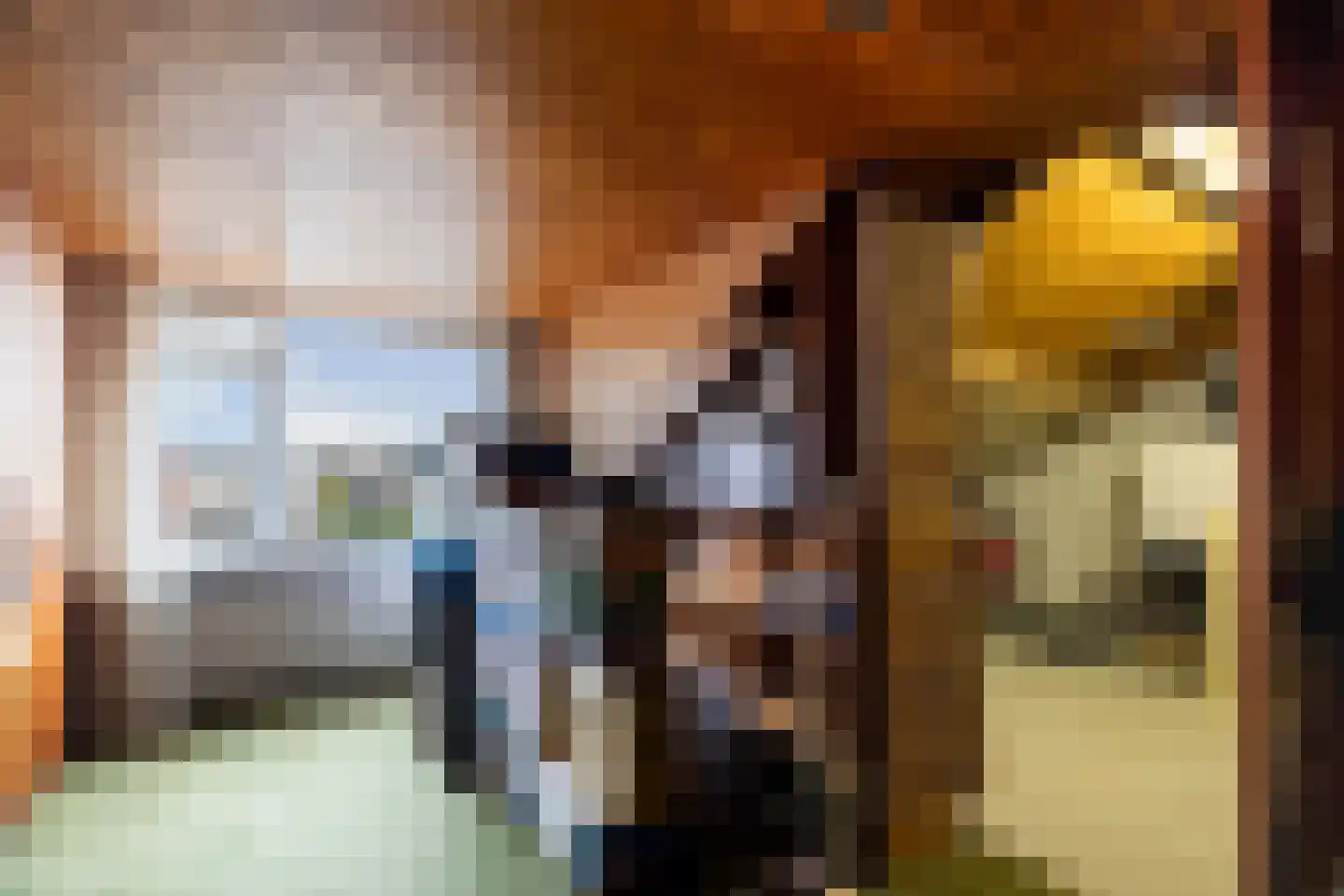 Ridder van Dorpstraat 5 Nieuw-Beijerland thumbnail 24
