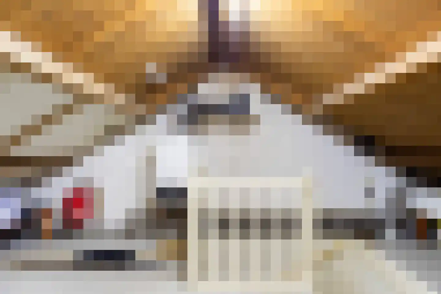 Ridder van Dorpstraat 5 Nieuw-Beijerland thumbnail 25