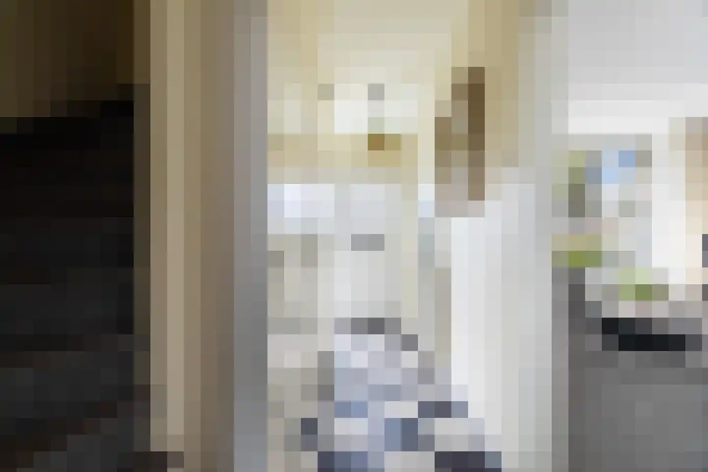 Ridder van Dorpstraat 5 Nieuw-Beijerland thumbnail 6