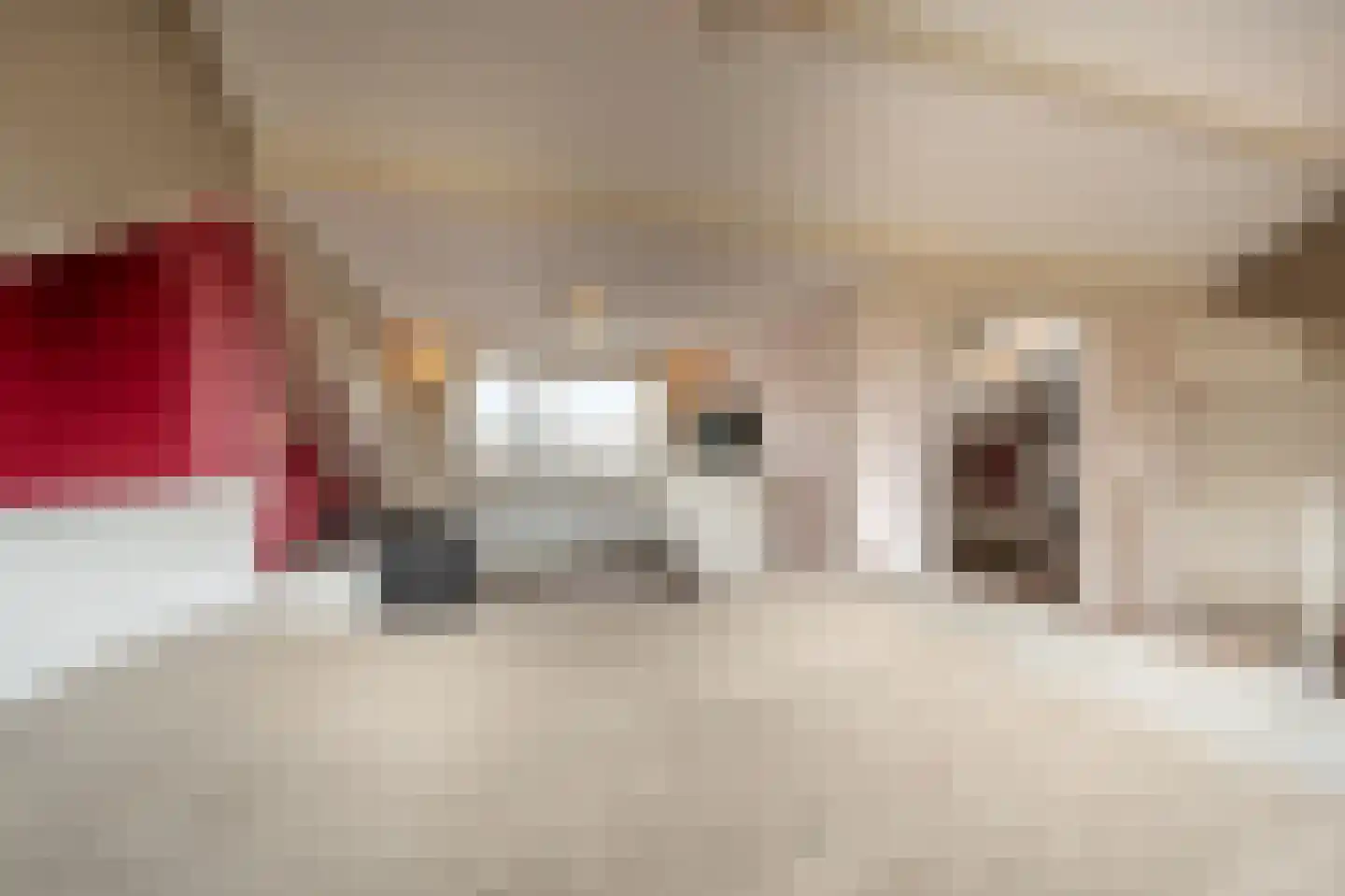 Ridder van Dorpstraat 7 Nieuw-Beijerland thumbnail 29