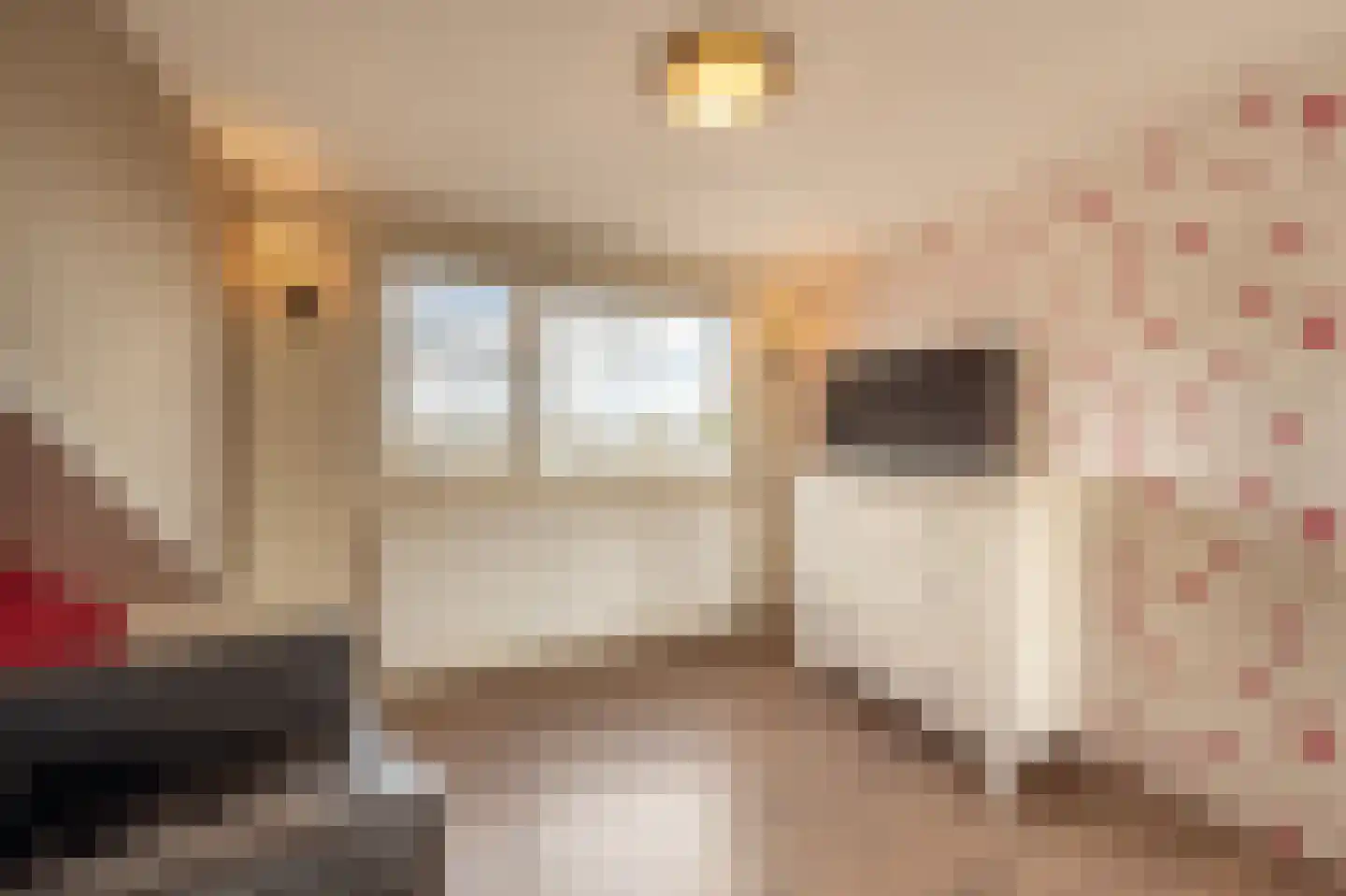Ridder van Dorpstraat 7 Nieuw-Beijerland thumbnail 31