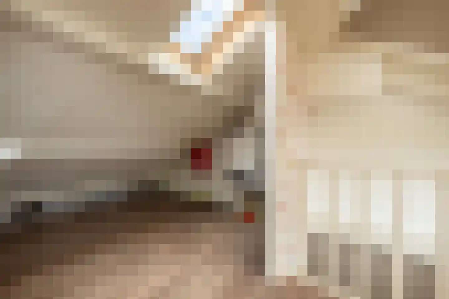 Ridder van Dorpstraat 7 Nieuw-Beijerland thumbnail 33
