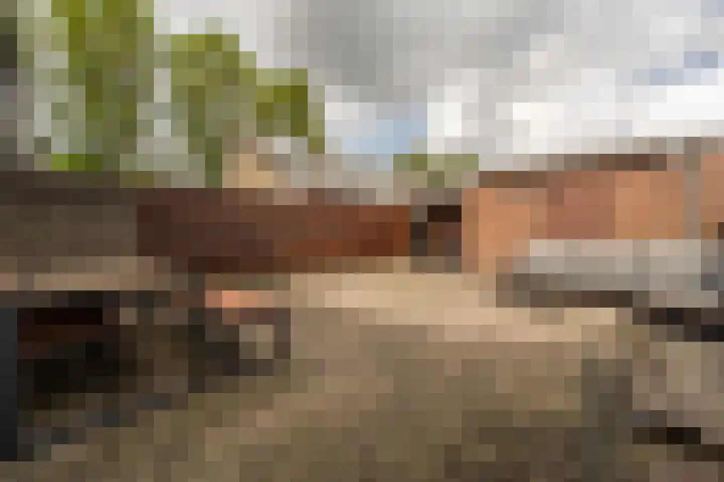 Ridder van Dorpstraat 7 Nieuw-Beijerland thumbnail 35