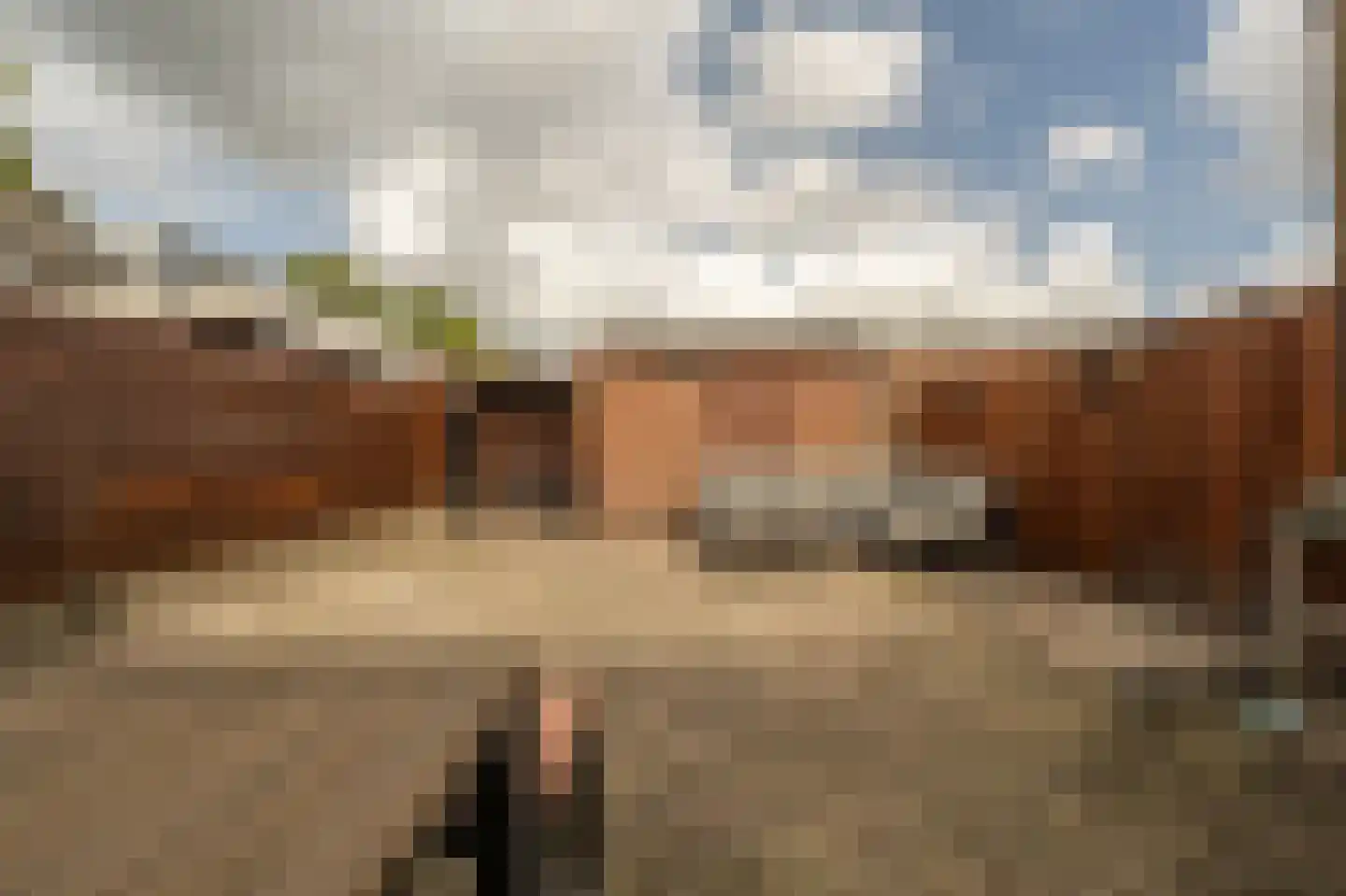 Ridder van Dorpstraat 7 Nieuw-Beijerland thumbnail 36