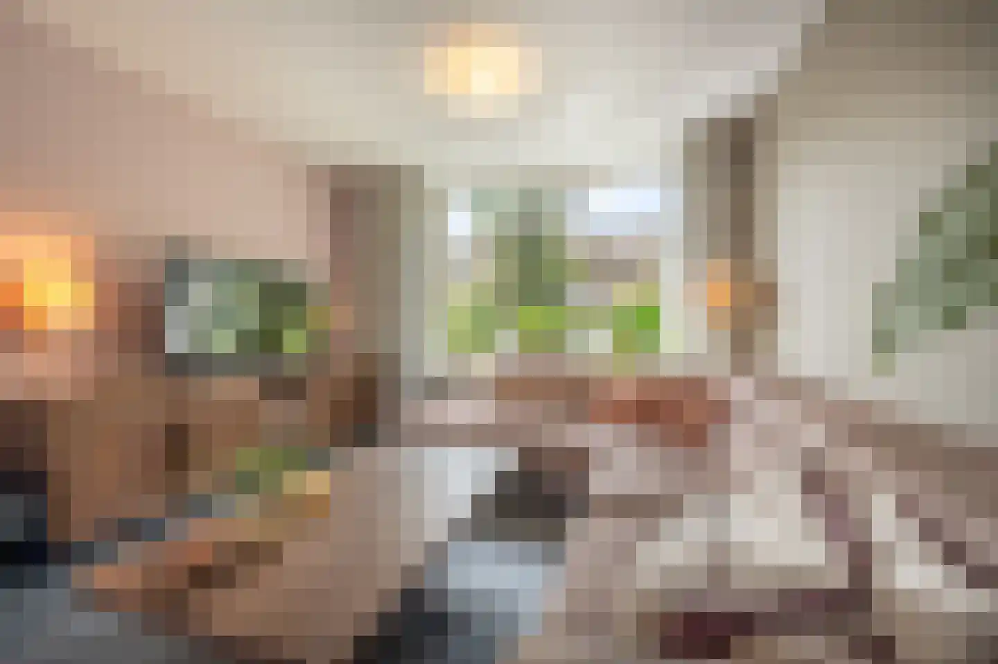 Ridder van Dorpstraat 7 Nieuw-Beijerland thumbnail 4