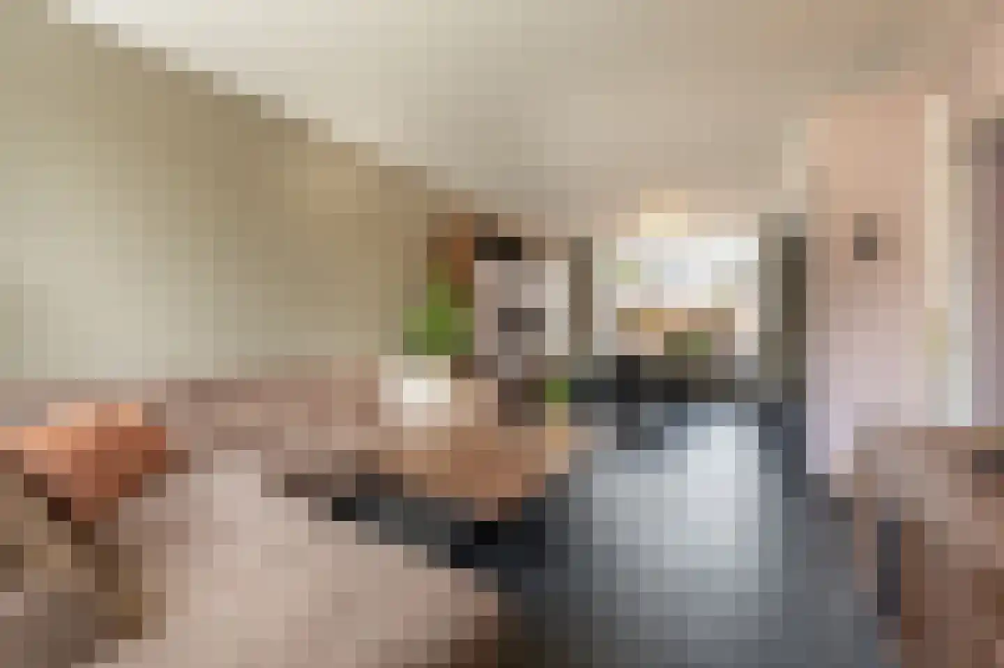 Ridder van Dorpstraat 7 Nieuw-Beijerland thumbnail 6