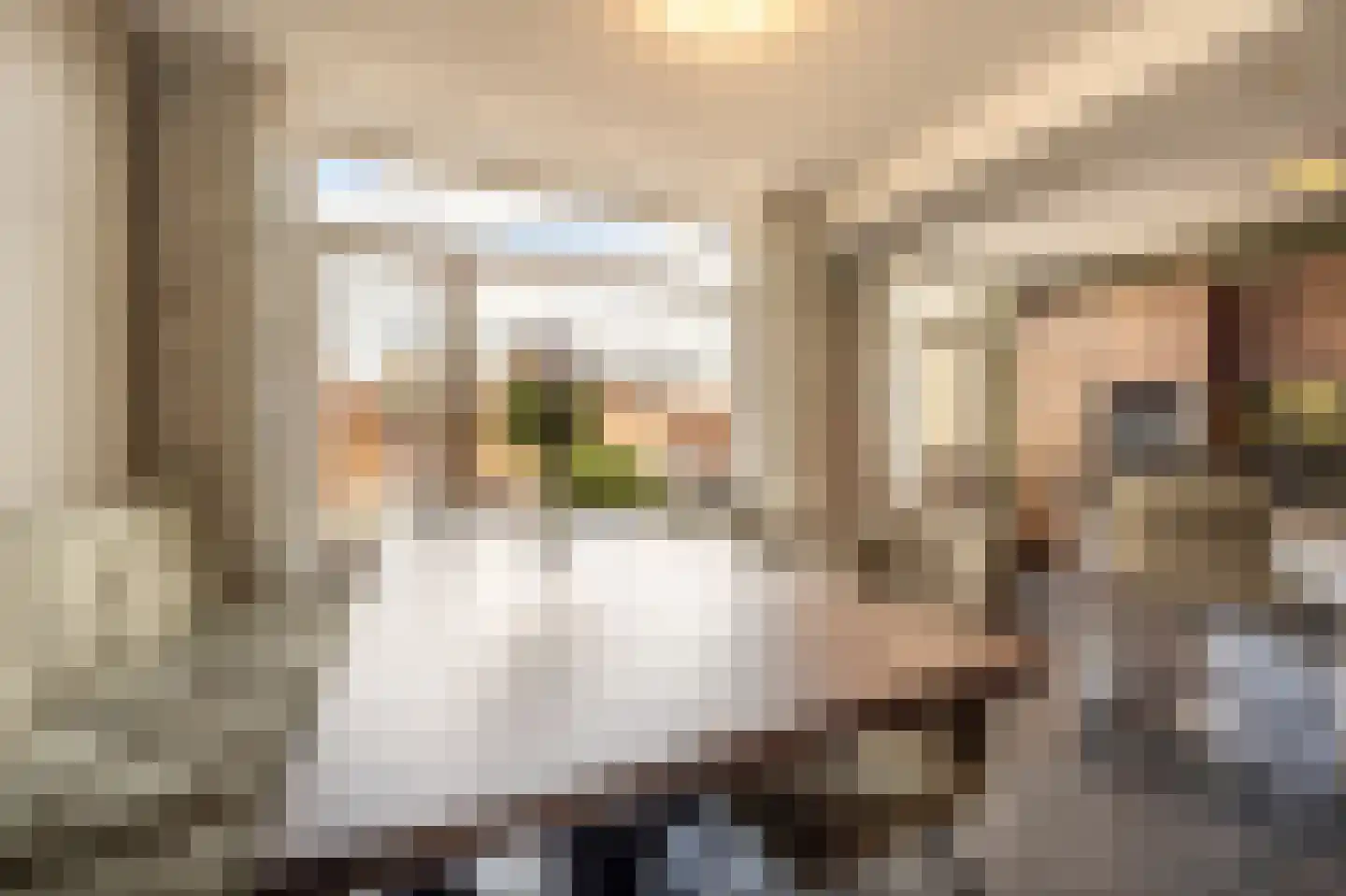 Ridder van Dorpstraat 7 Nieuw-Beijerland thumbnail 9