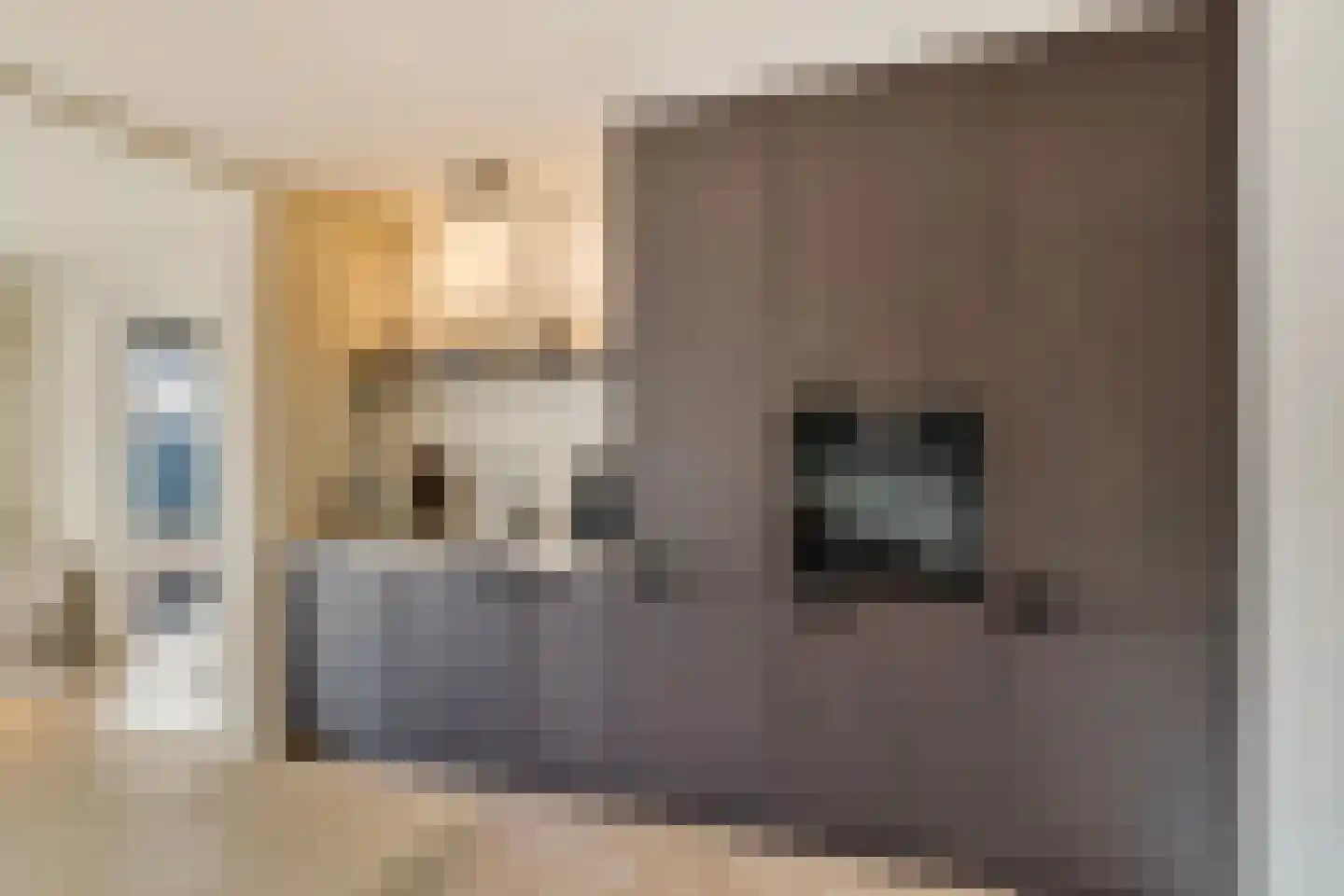 Ridder van Dorpstraat 9 Nieuw-Beijerland thumbnail 6