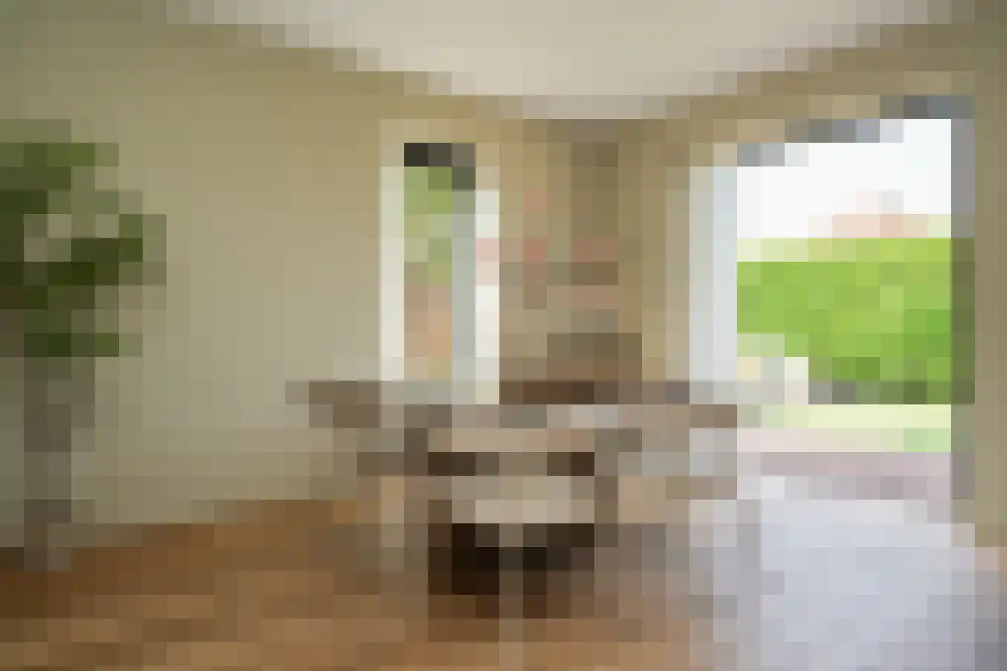 Ridder van Drongelenstraat 1 Meeuwen thumbnail 11