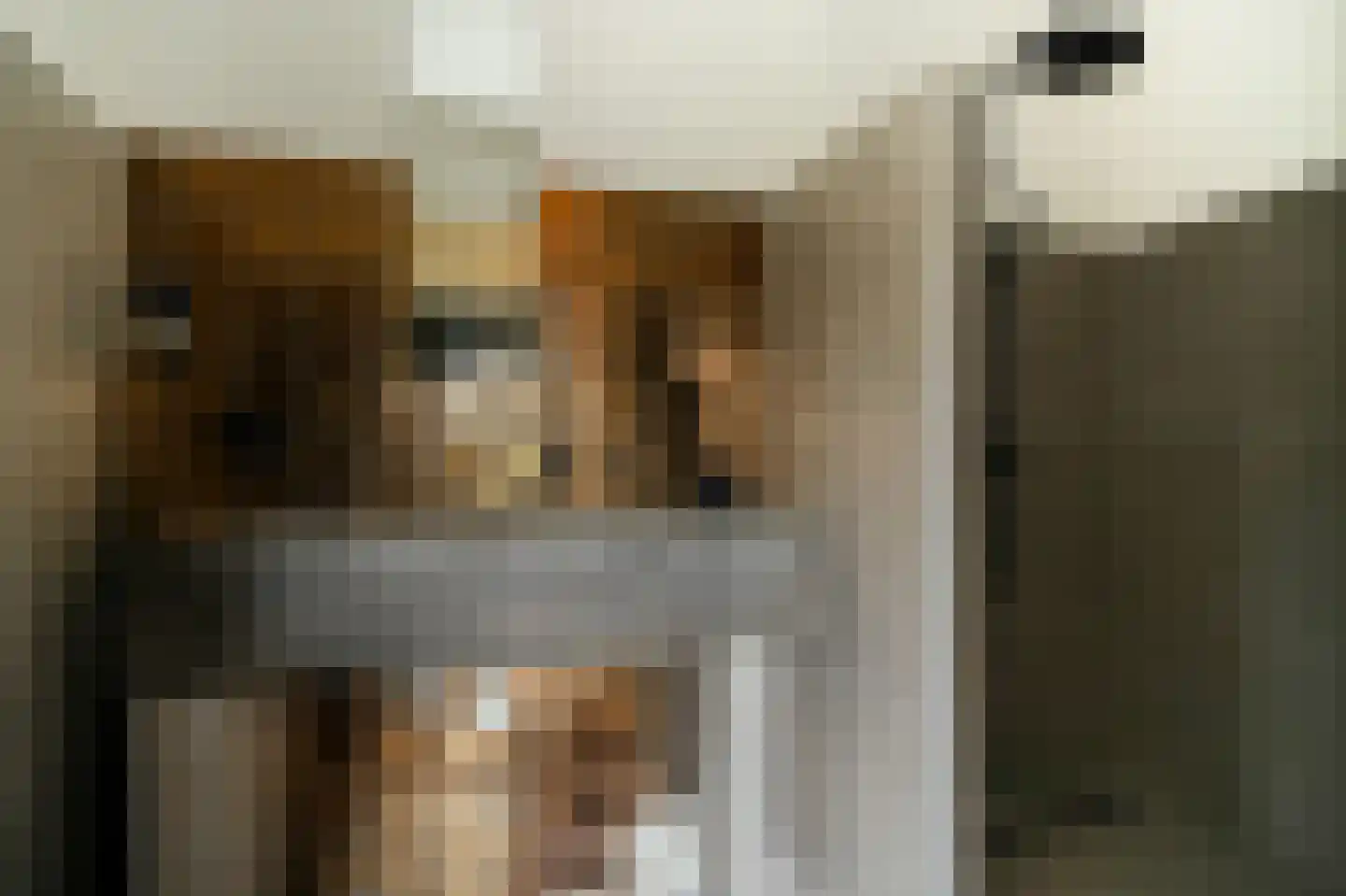 Ridder van Drongelenstraat 1 Meeuwen thumbnail 21