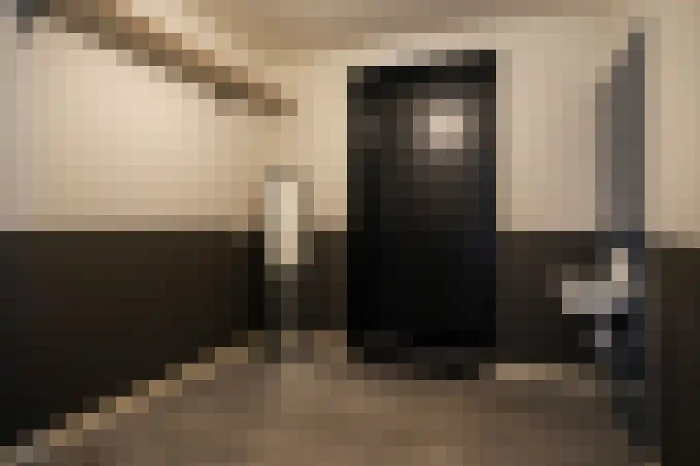 Ridder van Drongelenstraat 1 Meeuwen thumbnail 23