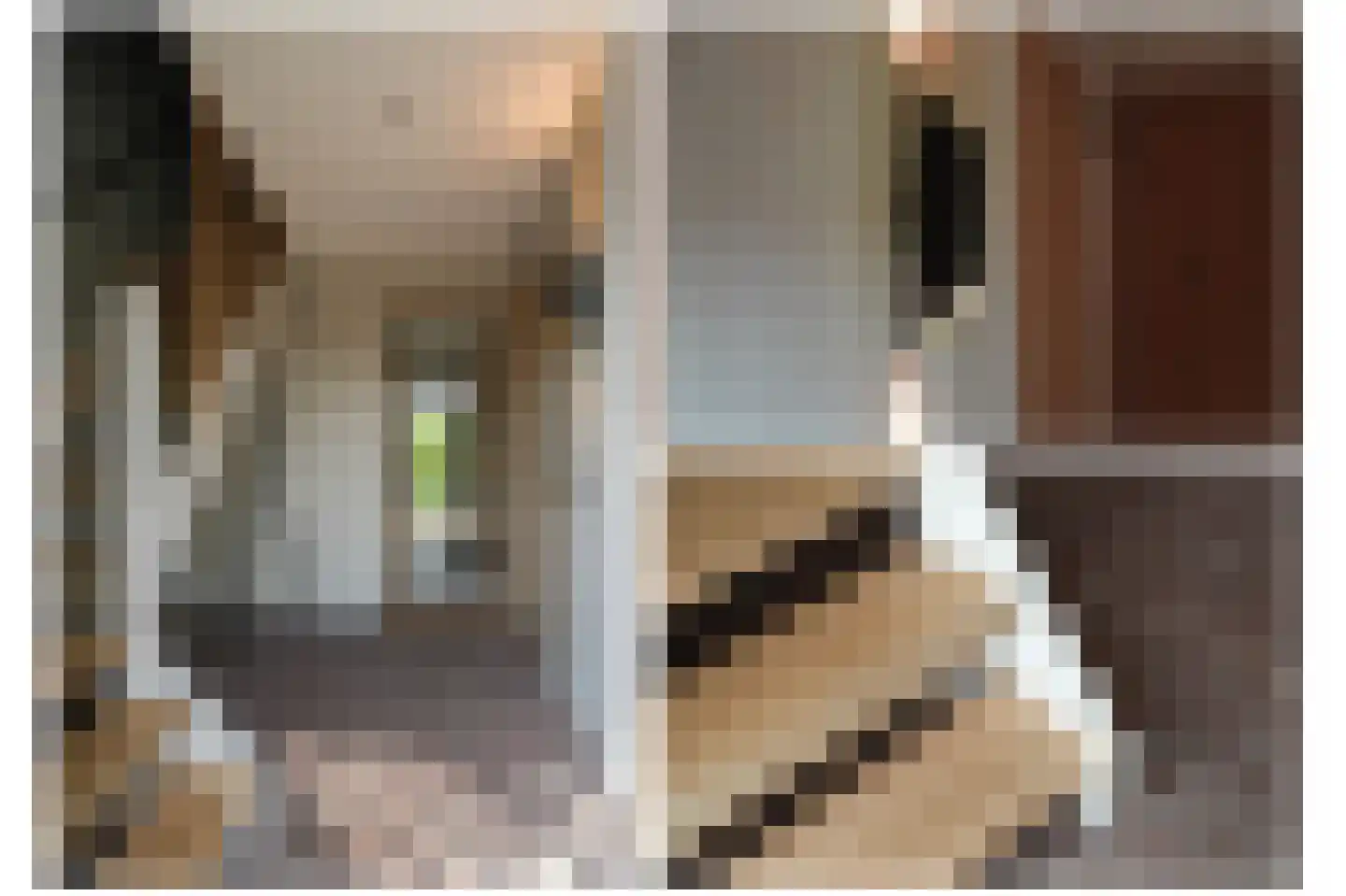 Ridder van Drongelenstraat 1 Meeuwen thumbnail 24
