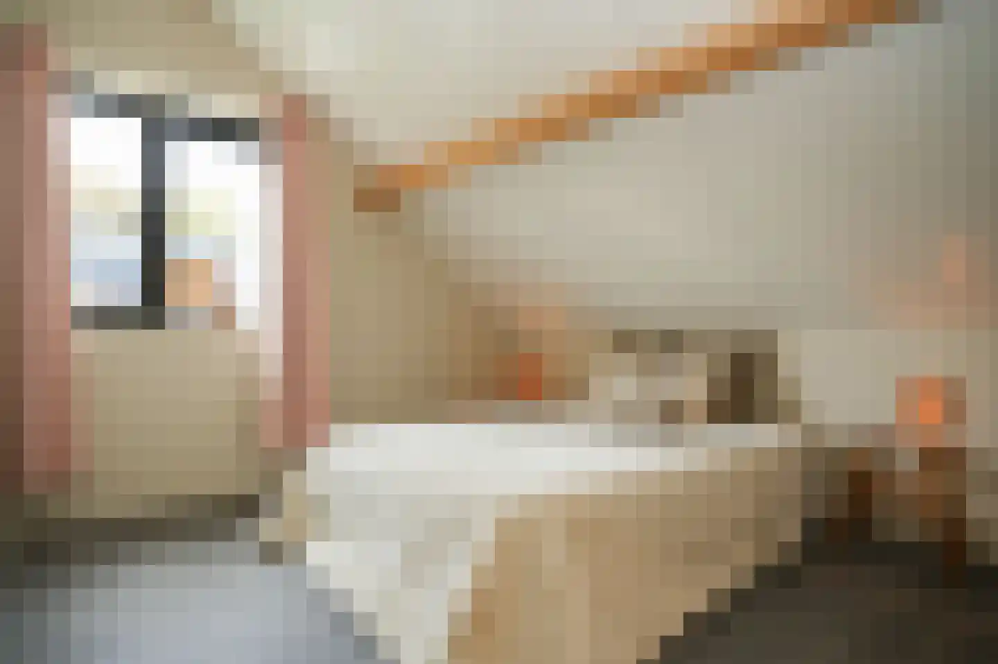Ridder van Drongelenstraat 1 Meeuwen thumbnail 25