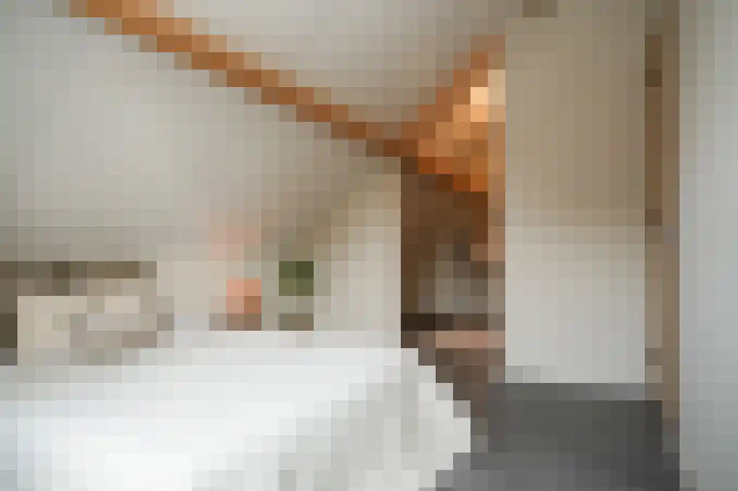 Ridder van Drongelenstraat 1 Meeuwen thumbnail 26