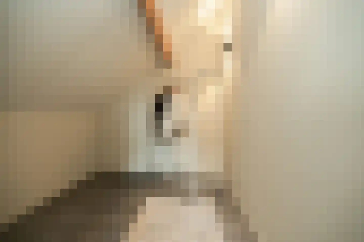 Ridder van Drongelenstraat 1 Meeuwen thumbnail 27