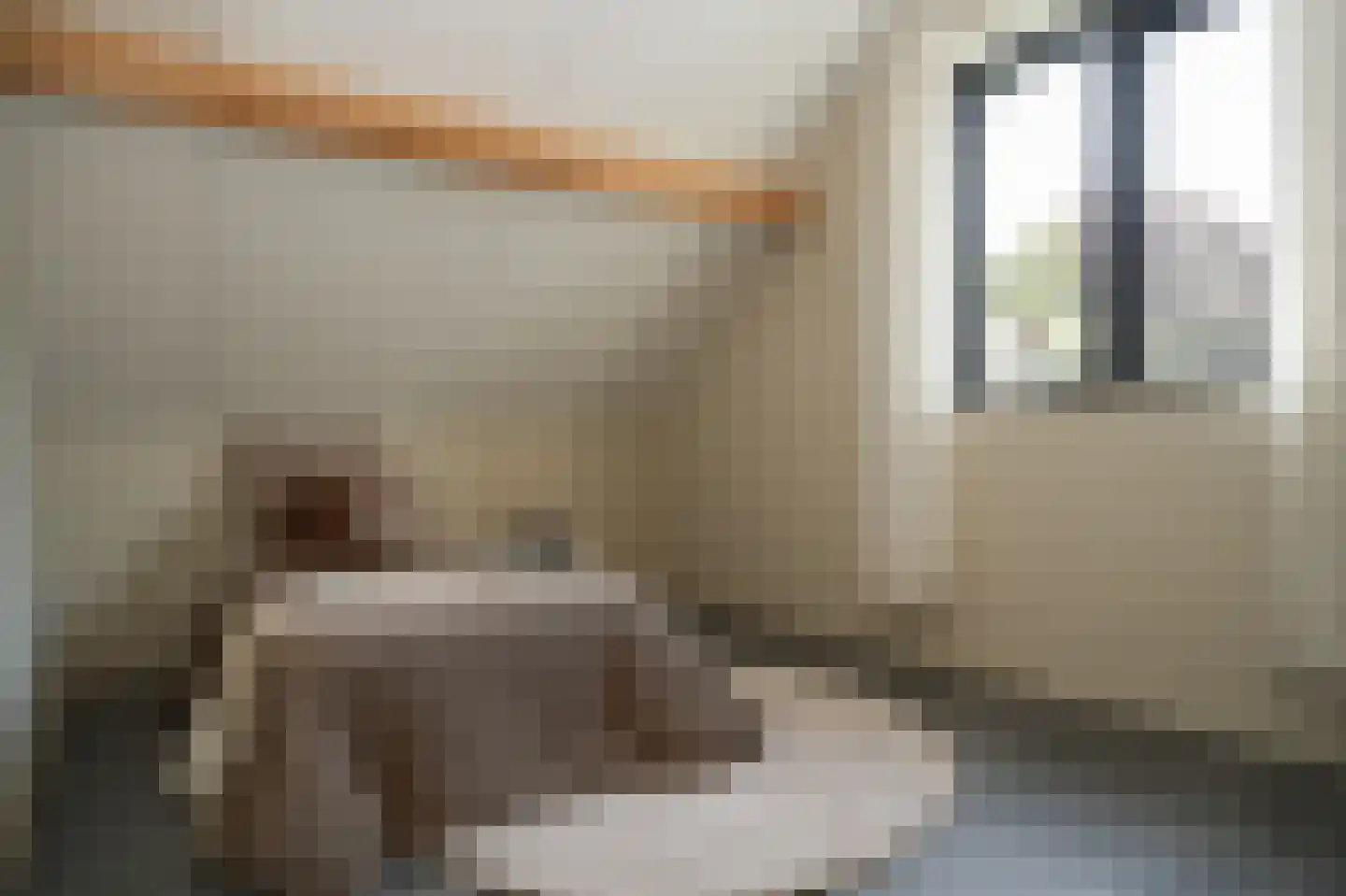 Ridder van Drongelenstraat 1 Meeuwen thumbnail 30
