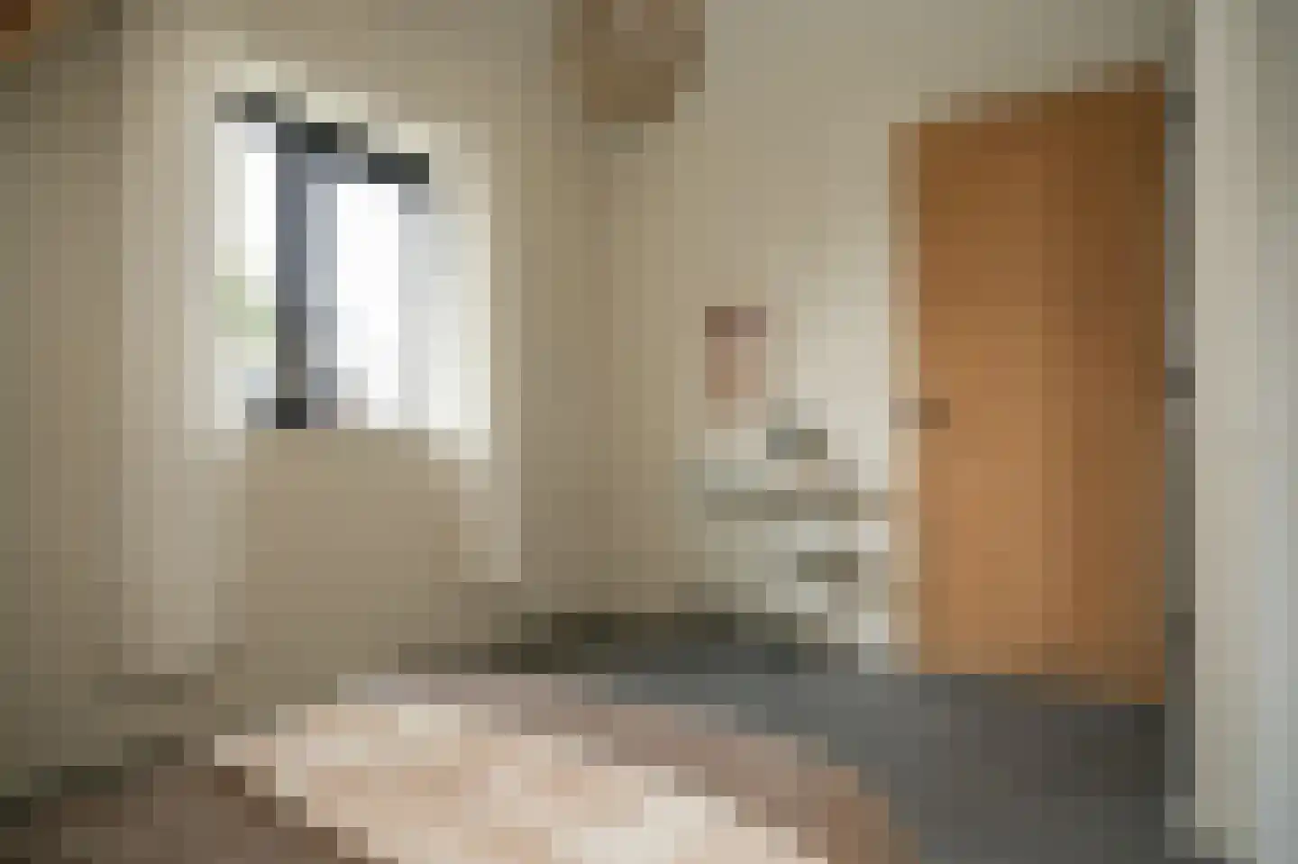 Ridder van Drongelenstraat 1 Meeuwen thumbnail 31