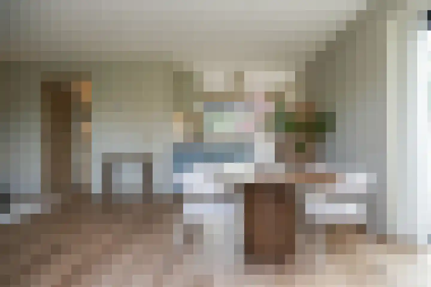 Ridder van Drongelenstraat 1 Meeuwen thumbnail 4