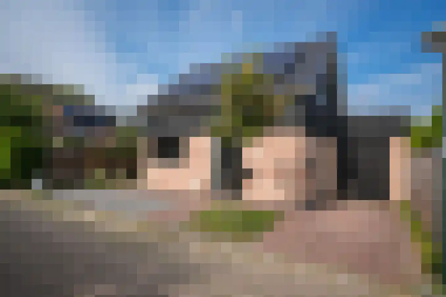 Ridder van Drongelenstraat 1 Meeuwen thumbnail 41