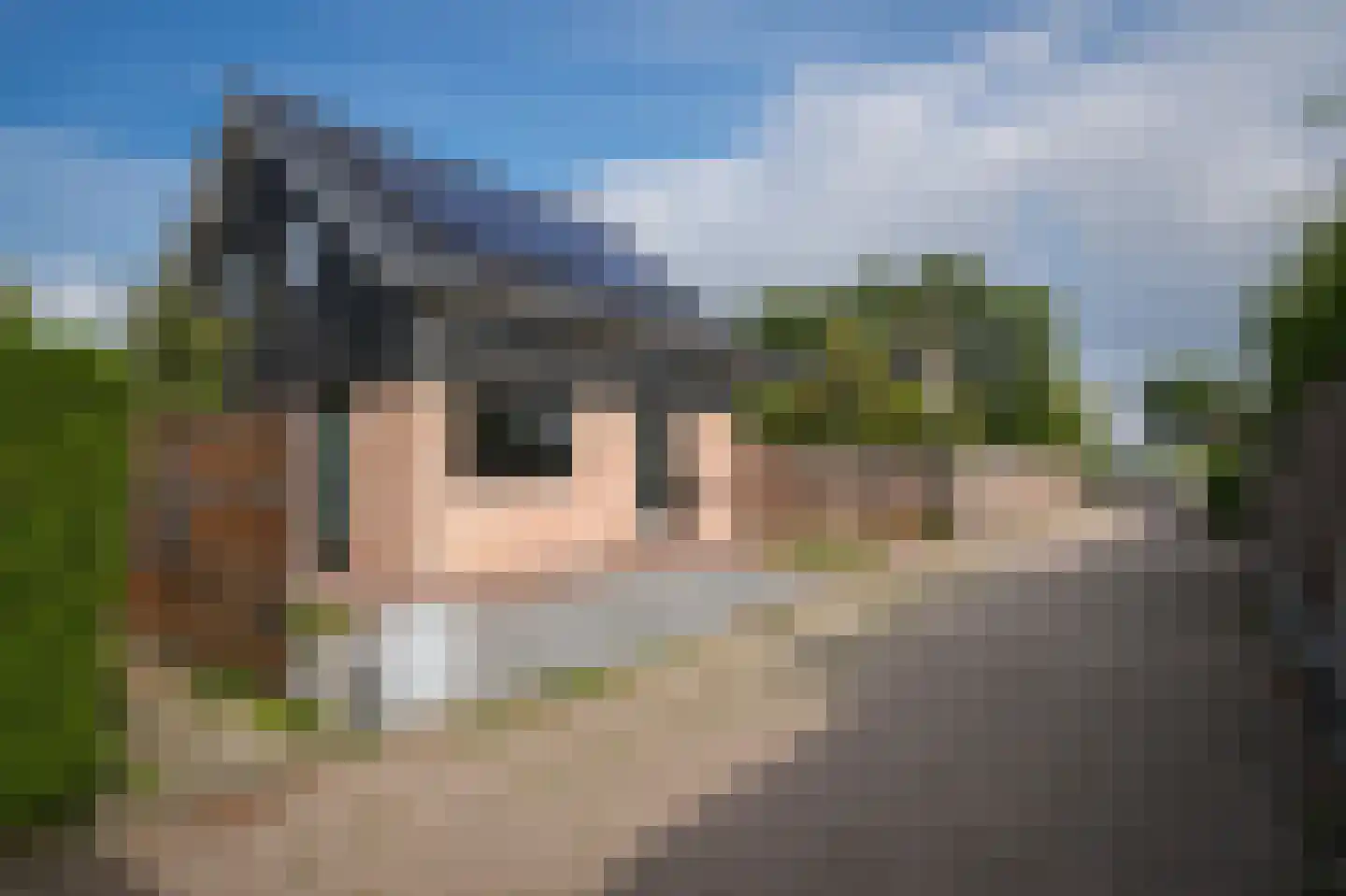 Ridder van Drongelenstraat 1 Meeuwen thumbnail 44
